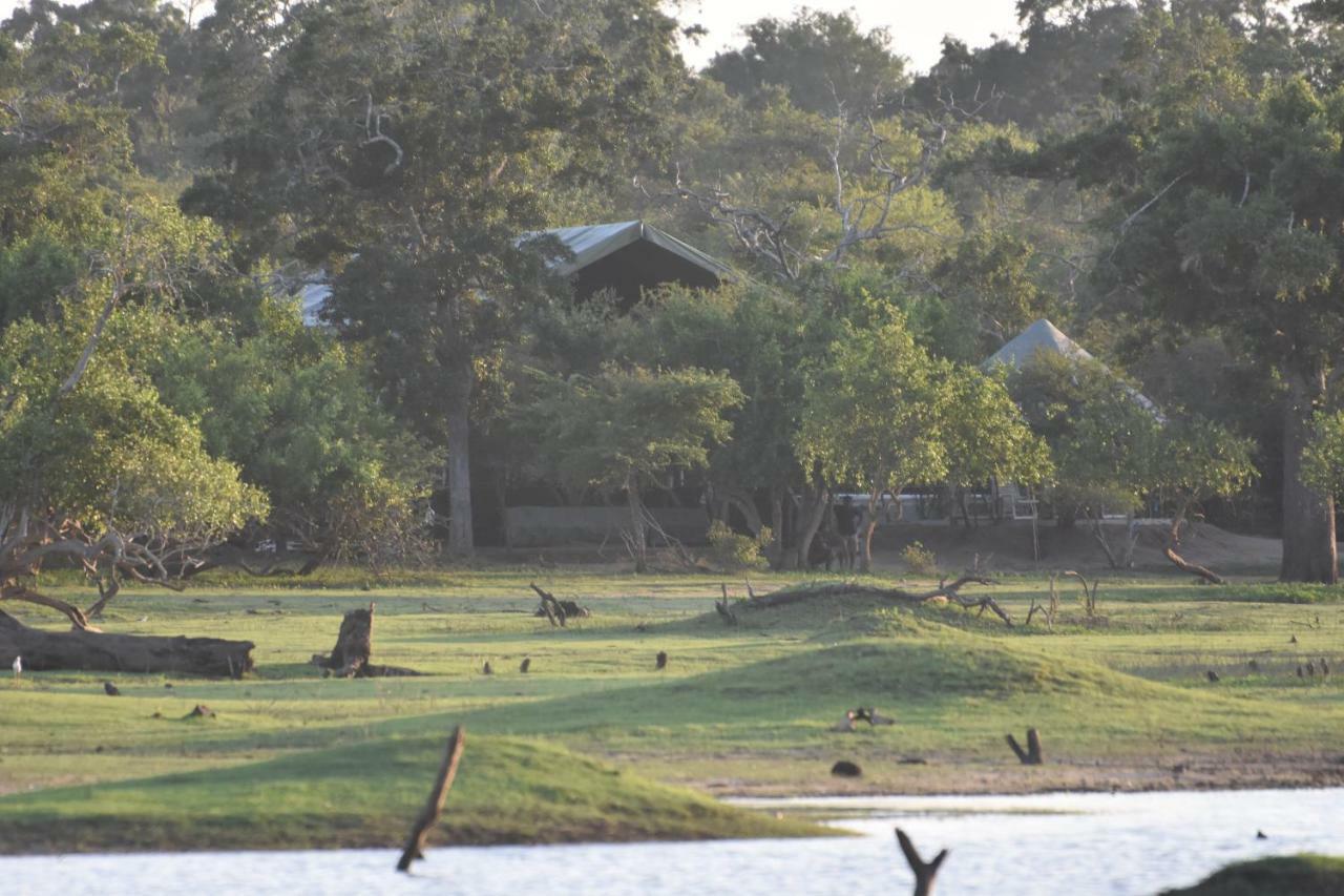Elephant Lake Yala Tissamaharama Exteriör bild